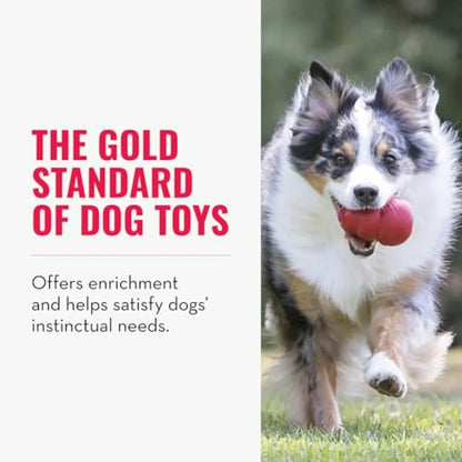 Classic Stuffable Dog Chew Toy
