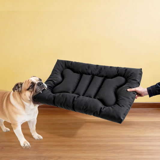Chew Proof Dog Bed