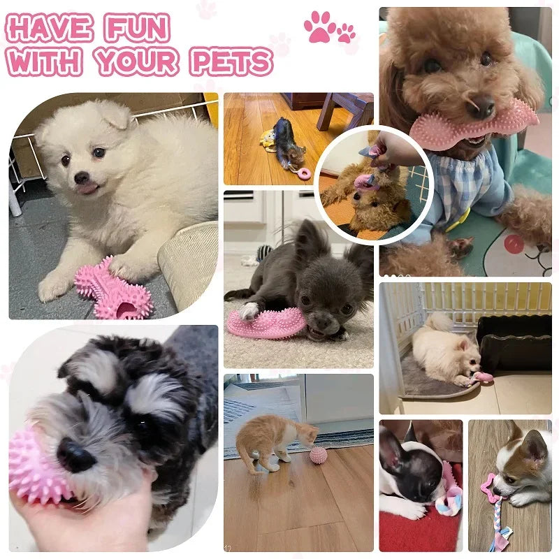 Dog Chew Toys
