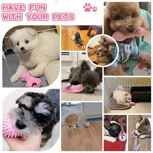 Dog Chew Toys
