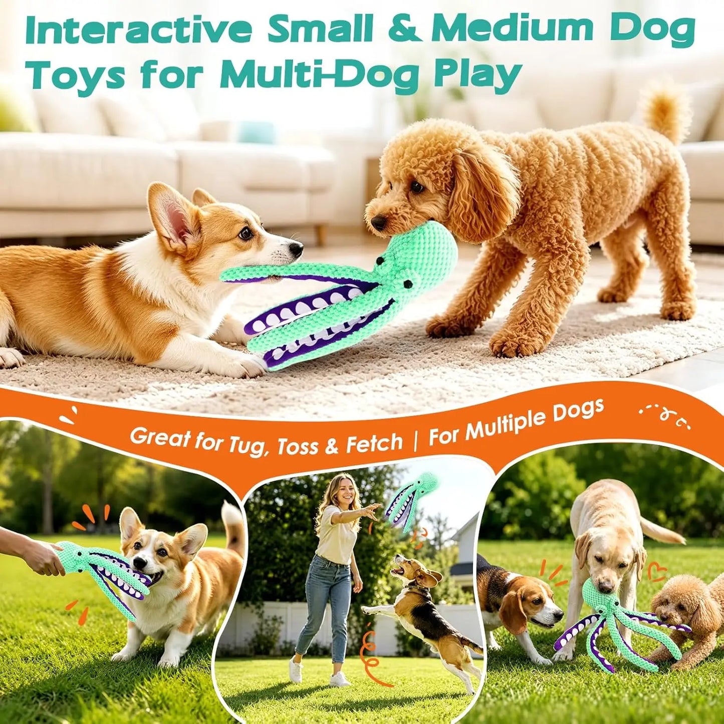 Squeaky Plush Dog Toys