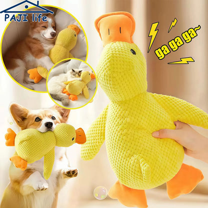 Duck dog toy