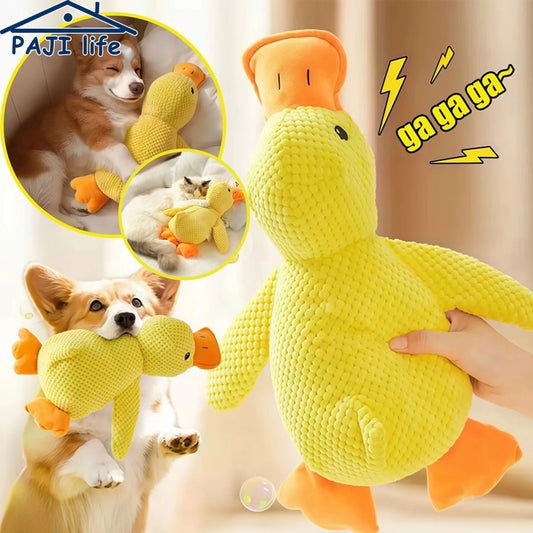 Duck dog toy