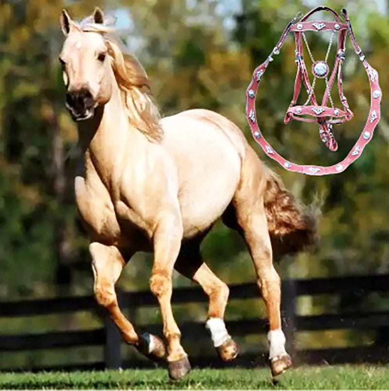 Ergonomic Leather Bridle