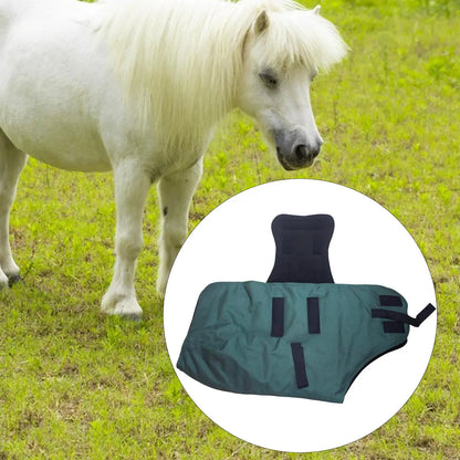Horse Blanket Winter Waterproof
