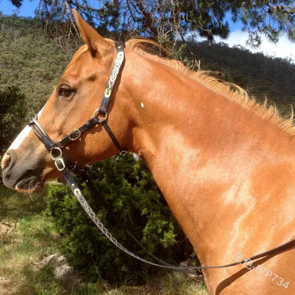 PU Leather Horses Bridle Halters