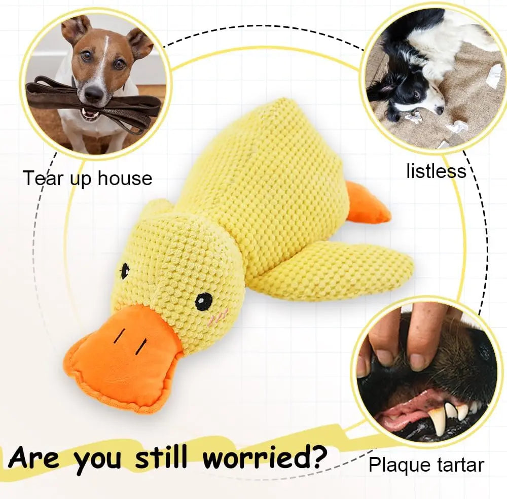 Duck dog toy