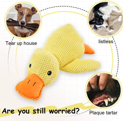 Duck dog toy