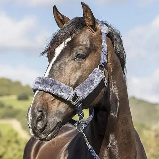 Fleece horse bridle