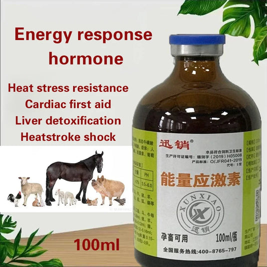 supplement the nutritional electrolyte vit liquid taurineamin anti-stress