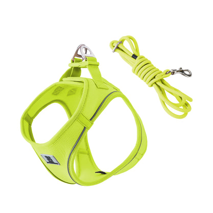 Dog Harness Leash Set