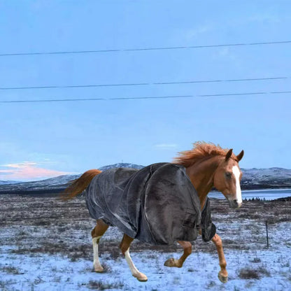Single Layer Velvet Warm Horse Clothes
