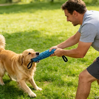 Tug of War Toy