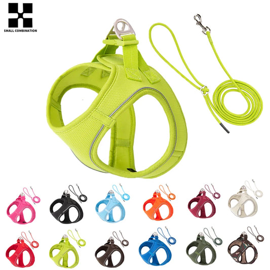 Dog Harness Leash Set