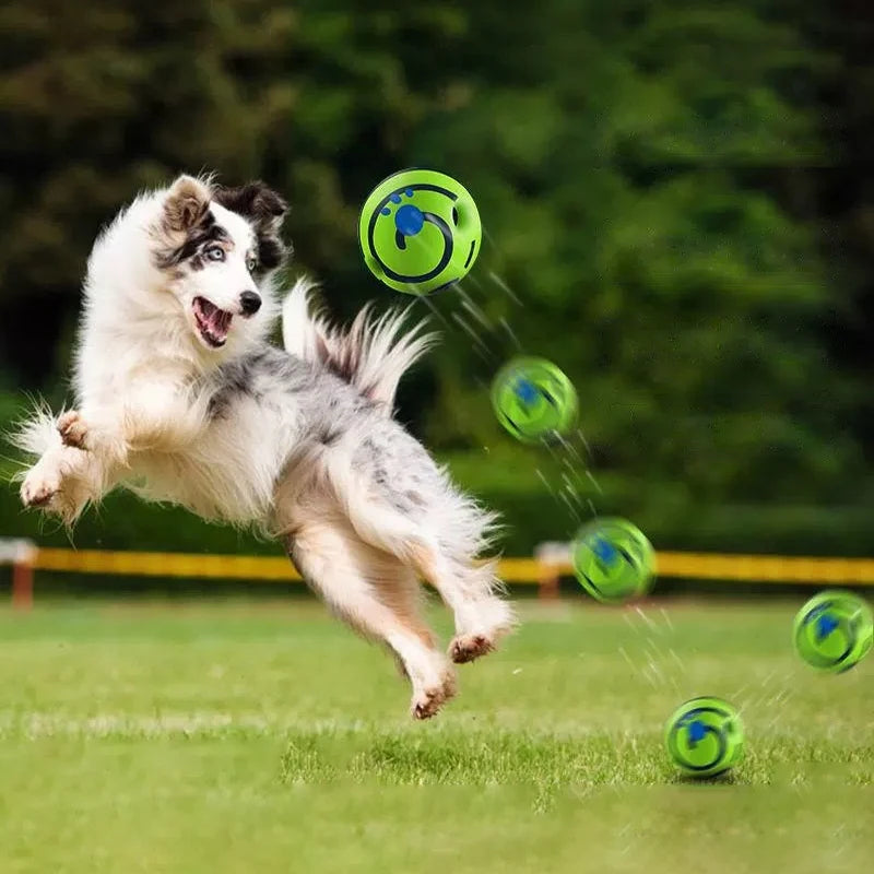 Dog Toy  Glow Ball