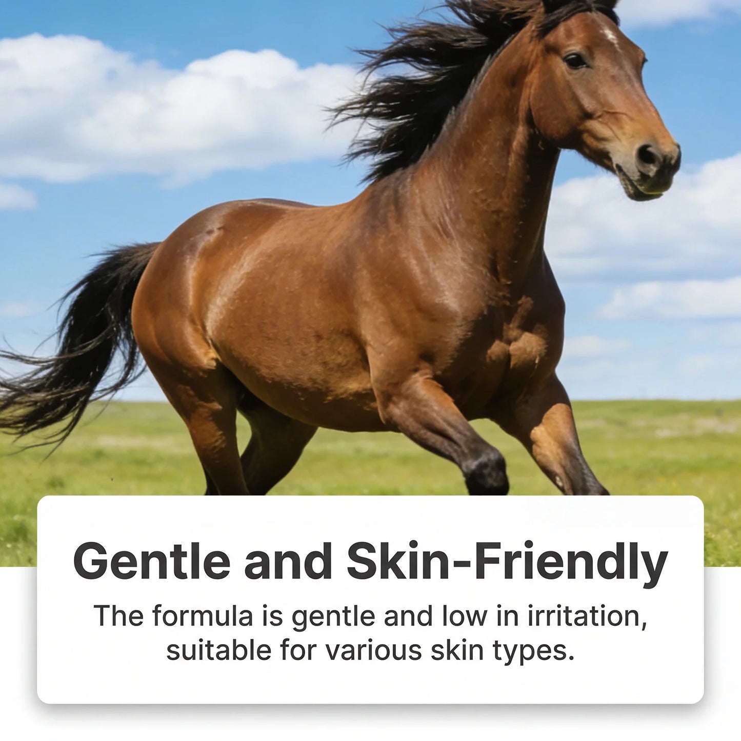 Horse Muscle Joint Gel