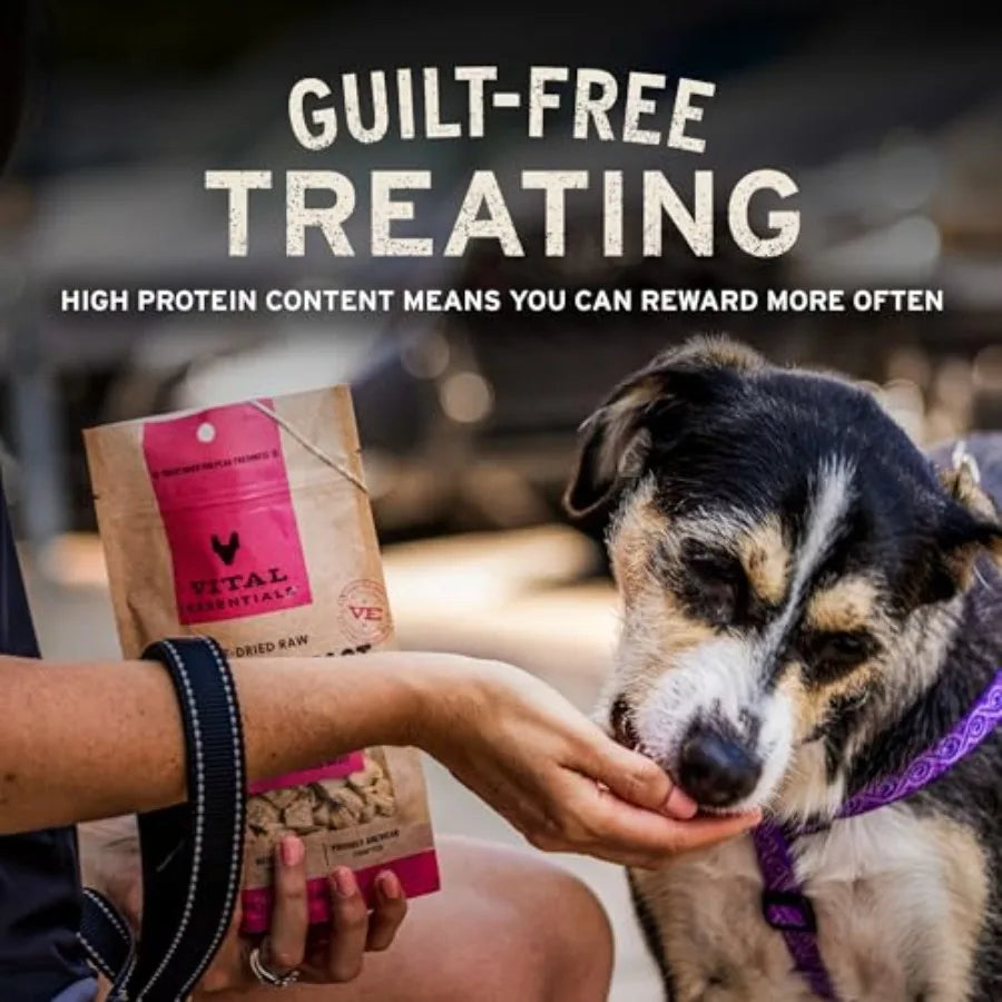 Freeze Dried Dog Treats Liver,