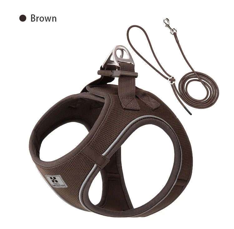 Dog Harness Leash Set