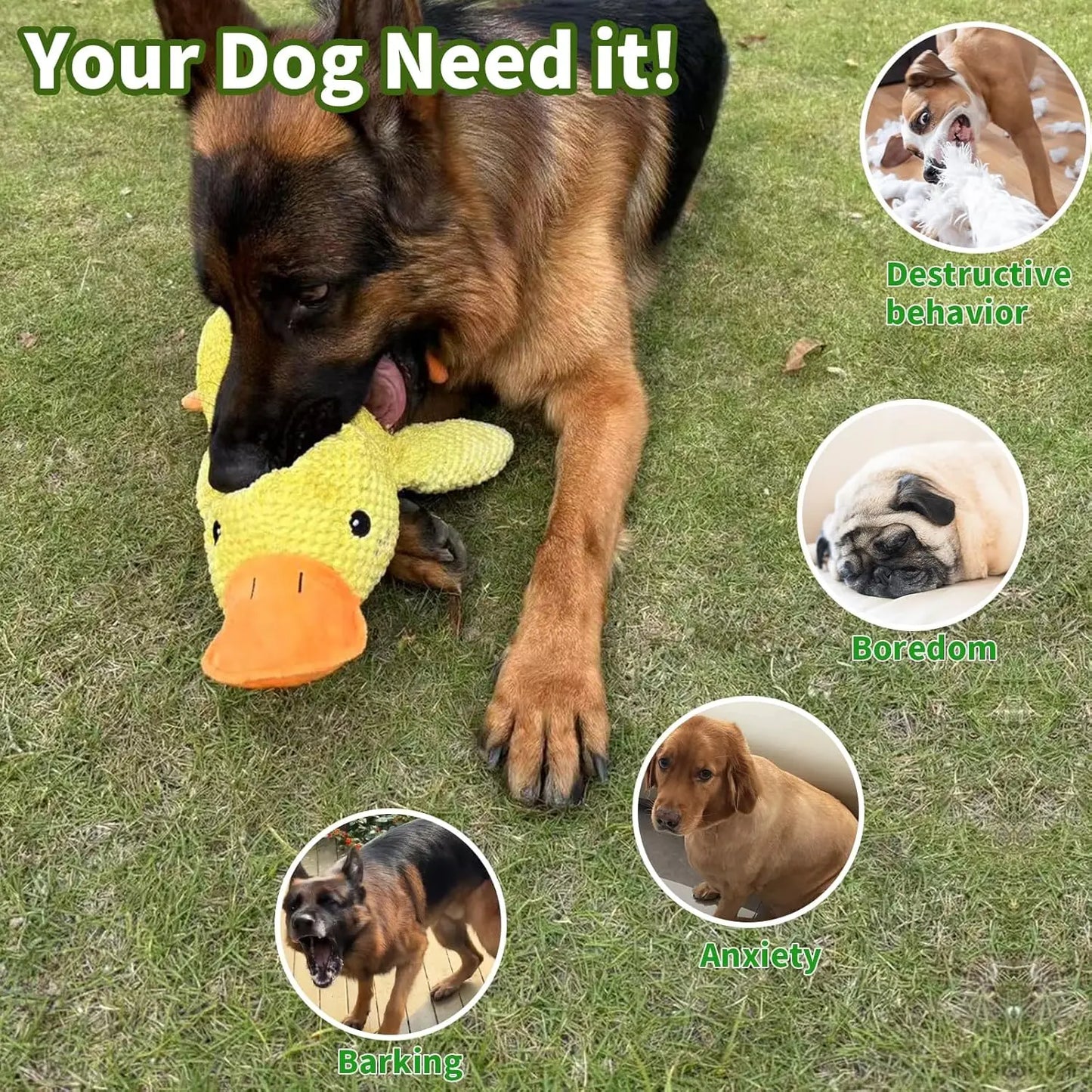 Duck dog toy