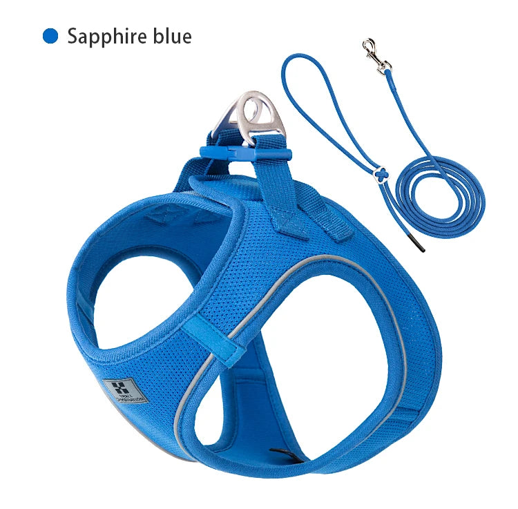 Dog Harness Leash Set