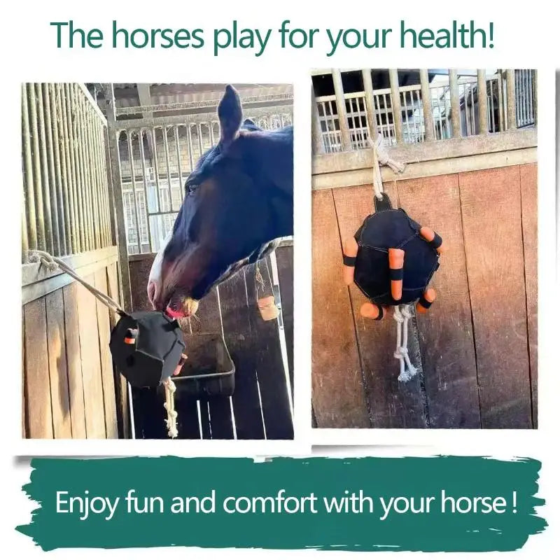 Enrichment Hay Ball Feeder To