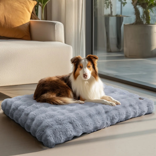 Ultra-soft Plush Dog Bed