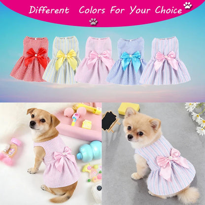 Dog Flower Princess Dress