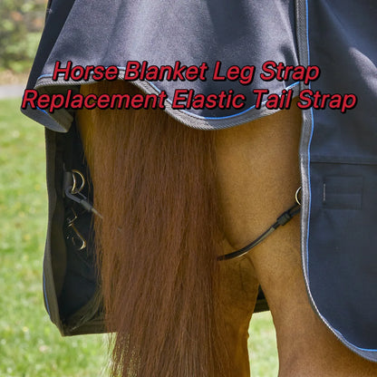 Horse blanket belt