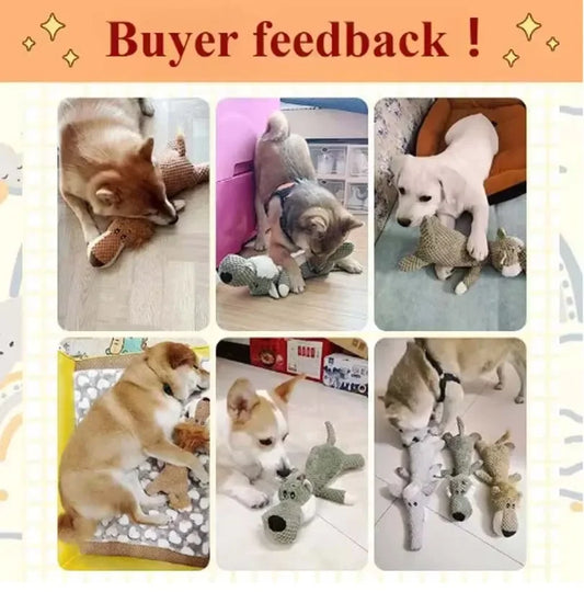Dog Toys