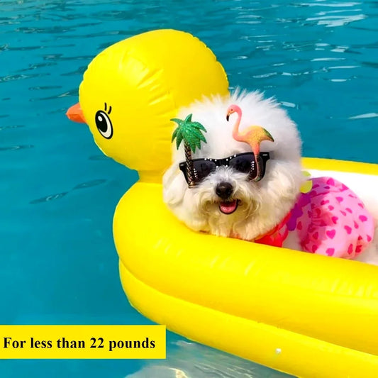 2in1 Dogs Pool Float