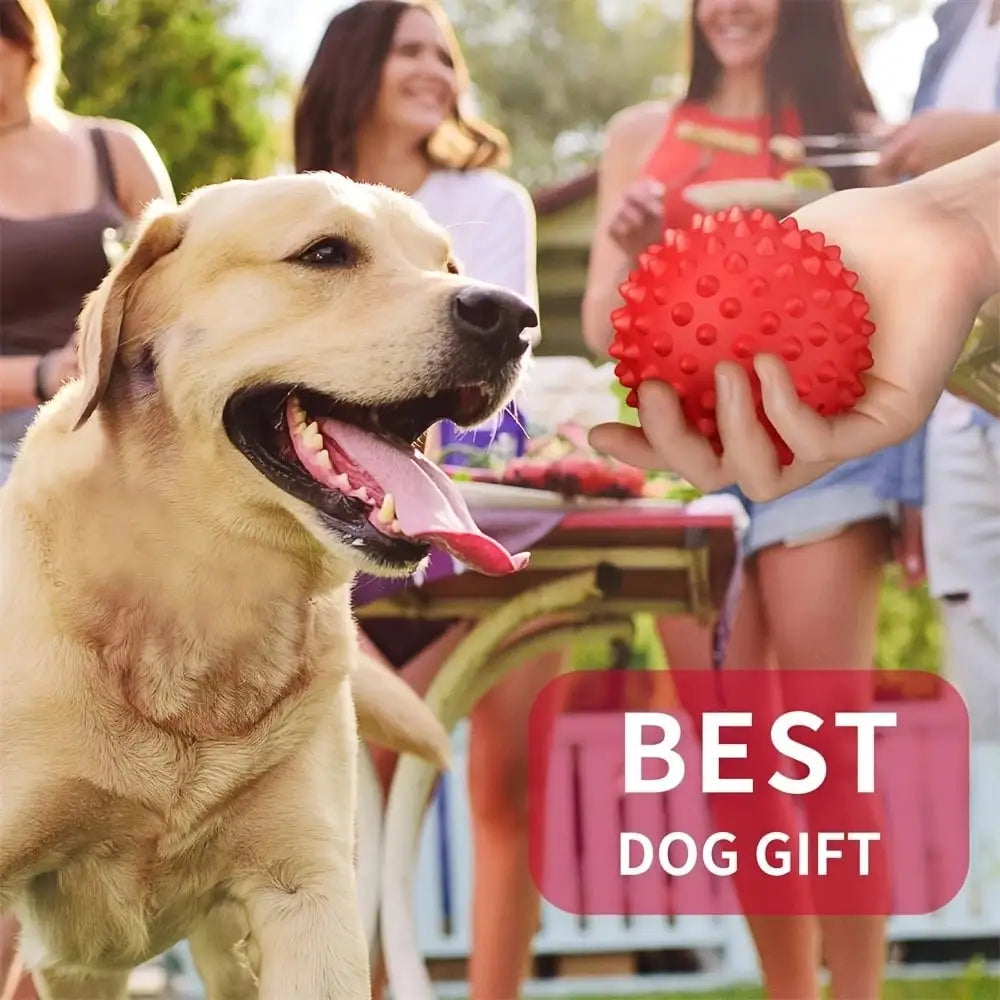2 Pack Dog Balls