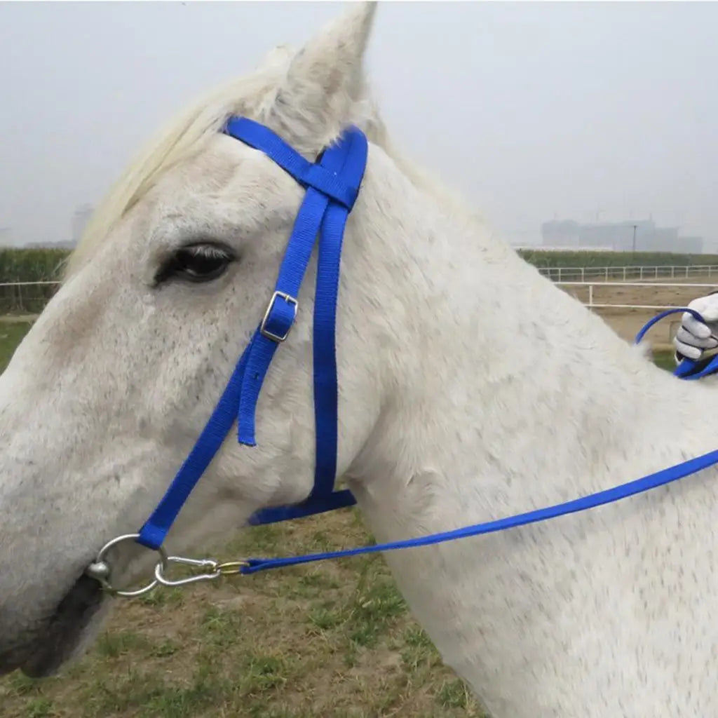 Horse Bridle Rein Harness
