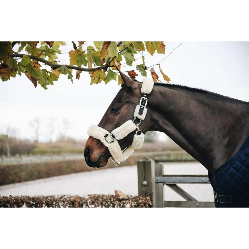 Fleece horse bridle