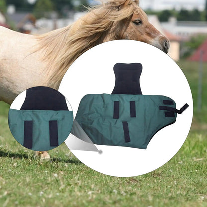 Horse Blanket Winter Waterproof