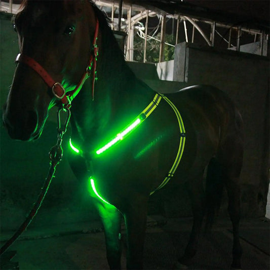 USB LED Horse Breast Plate Collar Adjustable Safety Bridle Halter