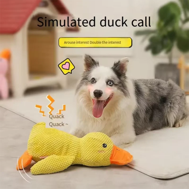 Duck dog toy