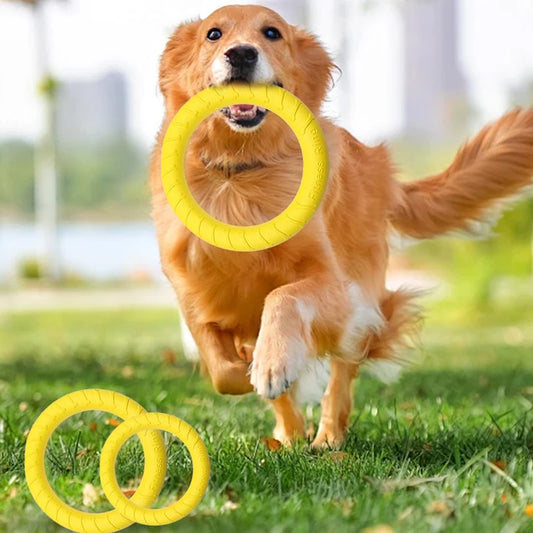 Dog Ring Toys