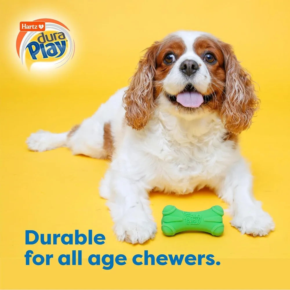 Bone Squeaky  Dog Toy