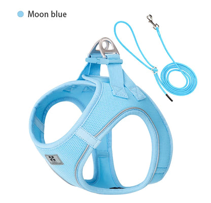 Dog Harness Leash Set