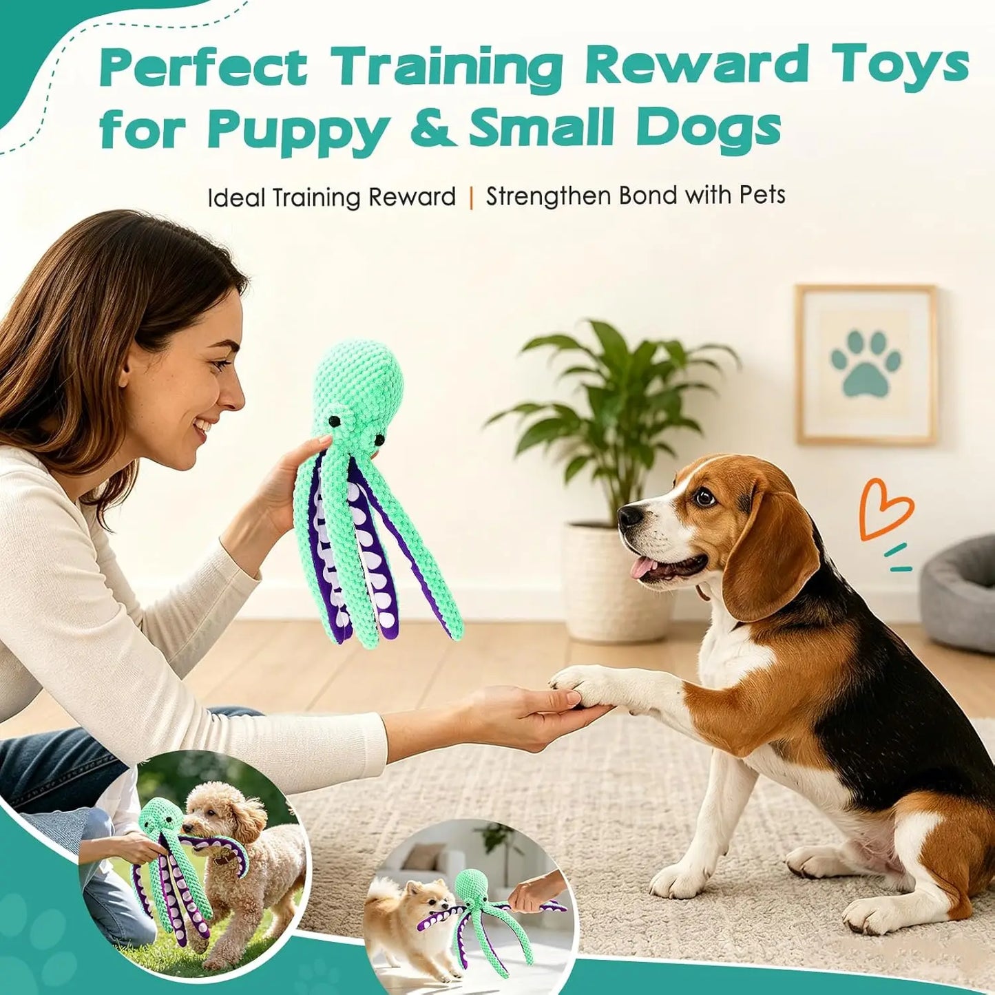 Squeaky Plush Dog Toys