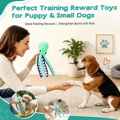 Squeaky Plush Dog Toys