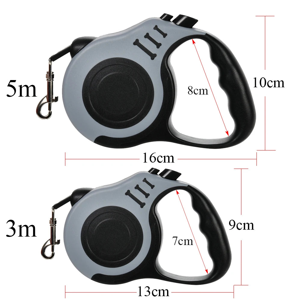Dog Leash
