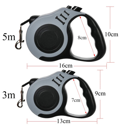 Dog Leash