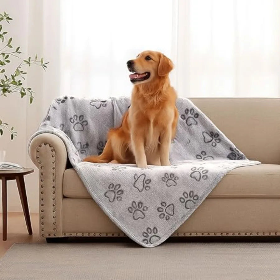 Dog Blankets