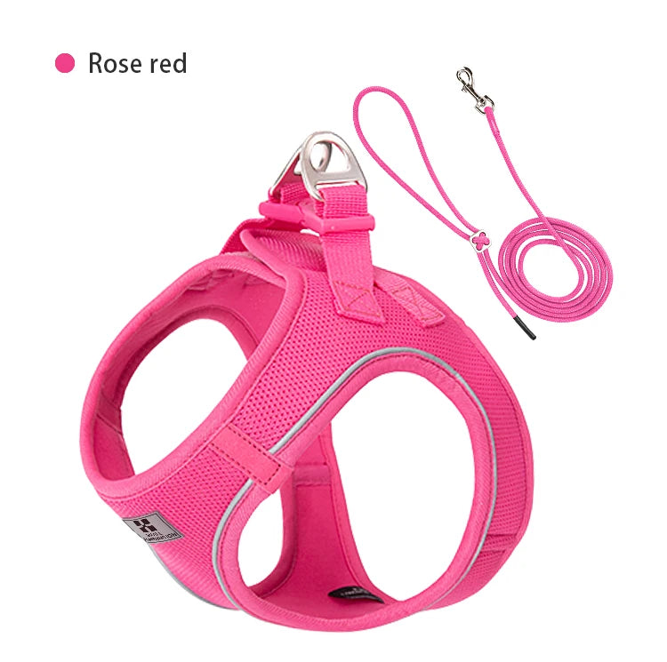 Dog Harness Leash Set