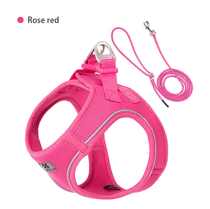 Dog Harness Leash Set