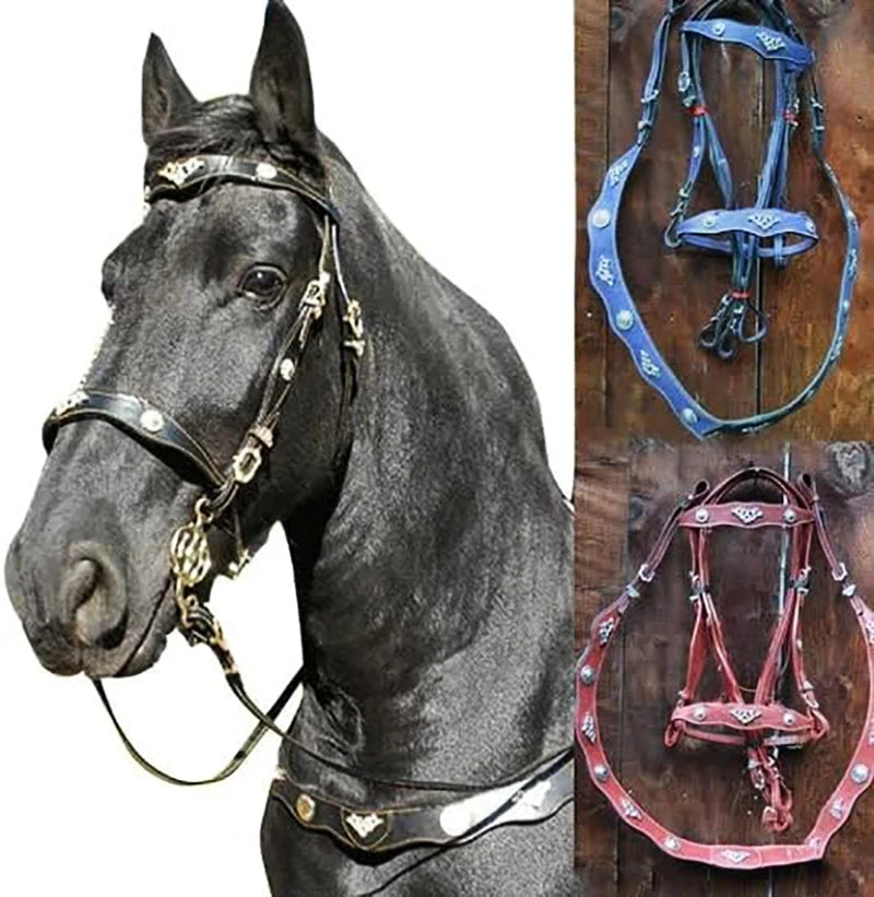 Ergonomic Leather Bridle