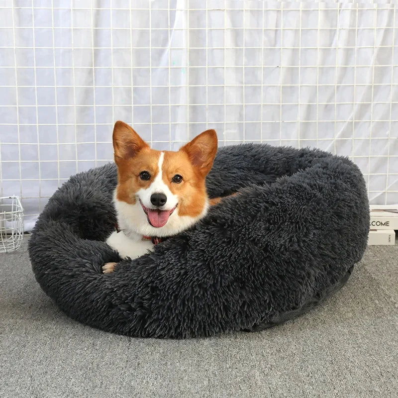 Round Beds
