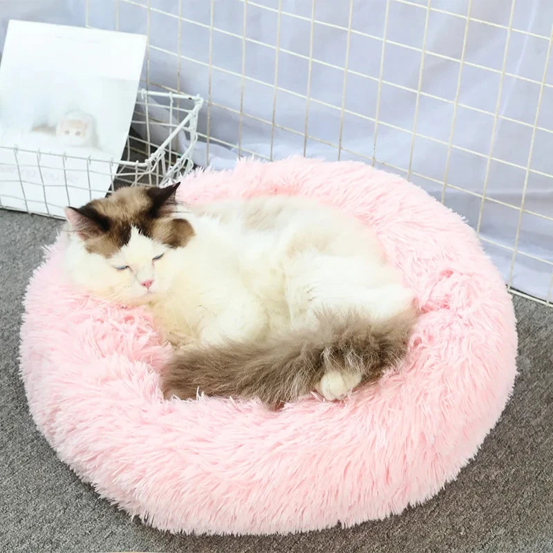 Round Beds