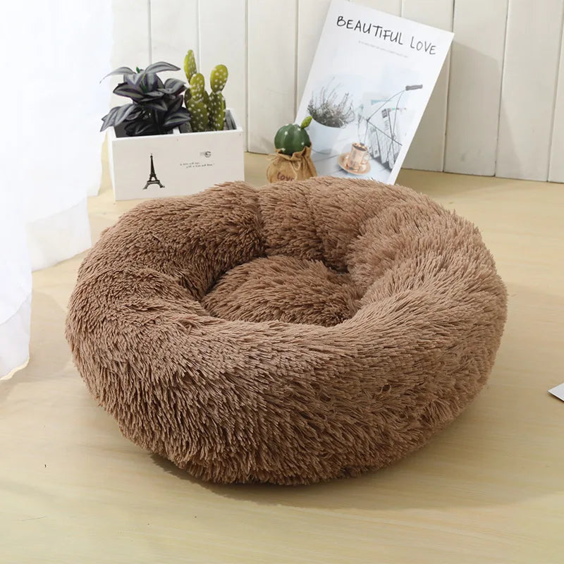 Round Beds
